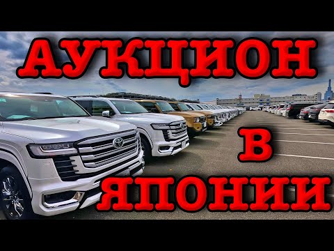 Видео: Аукцион в Японии "HAA" , город Кобэ | ответы на вопросы