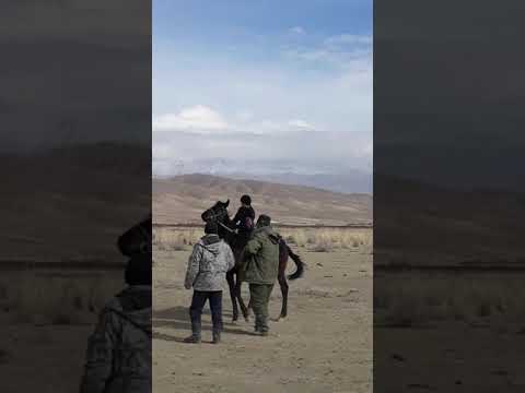 Видео: Чон-Туз  Кунан чабыш.