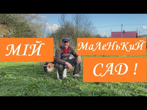 Видео: Садок у селі наводжу порядок