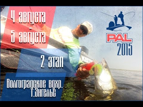 Видео: PAL 2015. Фильм второй