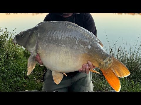 Видео: Потрясающая рыбалка на озере Френч-Парк 🐟😍