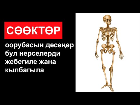 Видео: Биздин сөөктү эмнелер талкалайт? Биздин сөөктөрдү талкалаган адаттар.