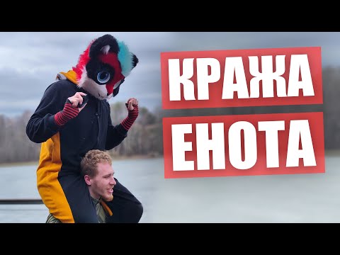 Видео: КРАЖА ЕНОТА ✅ ФУРРИ прогулка в МОСКВЕ