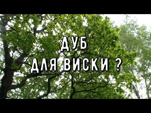 Видео: Как я делаю дубовые брусочки для выдержки напитков ?