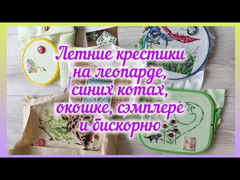 Видео: 112 будни: летние крестики на леопарде, синих котах, окошке, сэмплере и бискрорнюшке 💚