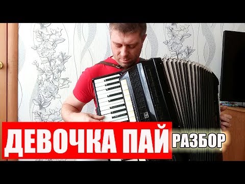 Видео: Девочка пай Разбор на аккордеоне Аккордеонист (аккордеон кавер)