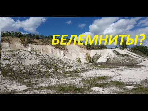 Видео: НАСТОЯЩИЕ МЕЛОВЫЕ РАСКОПКИ!!! ИЩУ БЕЛЕМНИТЫ В МЕЛУ.