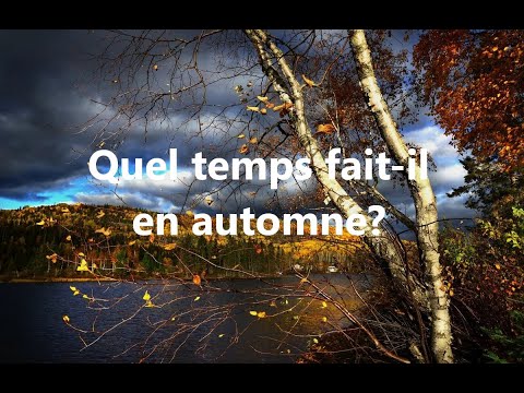 Видео: Quel temps fait-il en automne? Погода осенью. Учимся говорить по-французски об осенней  погоде.