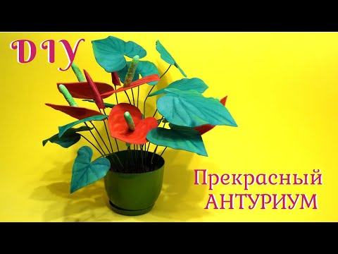 Видео: Простой и очень красивый цветок из фома. Антуриум. DIY