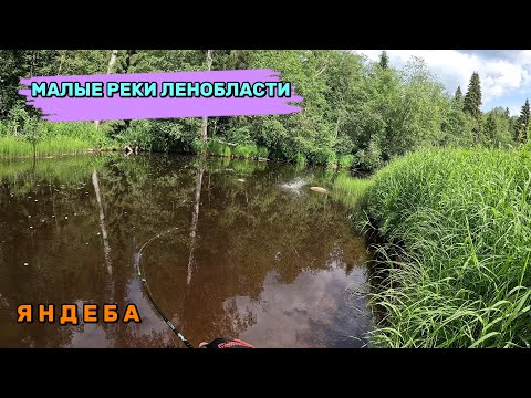 Видео: Малые реки Ленобласти: Яндеба. Комбинированная рыбалка: на байдботе к перекату