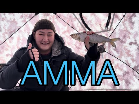 Видео: #10 Подледная рыбалка Амма ерускэ🎣⛺️