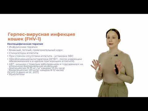 Видео: Болезни верхних дыхательных путей кошек