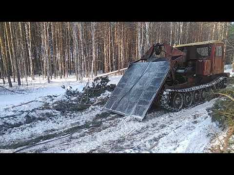 Видео: т4 трелевка 25 хлыстов