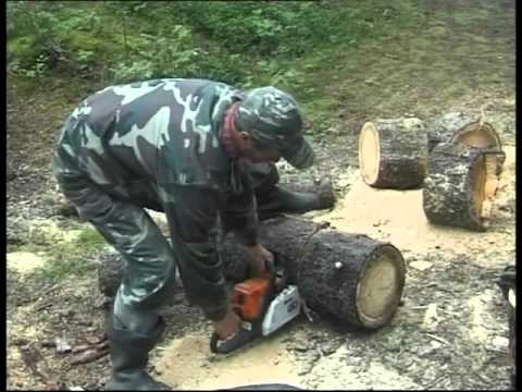 Видео: Онежские петроглифы. Мыс Бесов Нос.