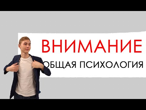 Видео: ВНИМАНИЕ. ОБЩАЯ ПСИХОЛОГИЯ #общаяпсихология