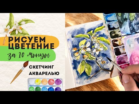 Видео: Рисуем Апельсиновое цветение | СКЕТЧ за 10 минут | Акварельный скетчинг