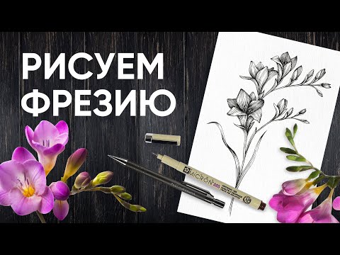 Видео: Как нарисовать фрезию - Уроки рисования - Ола Ч.