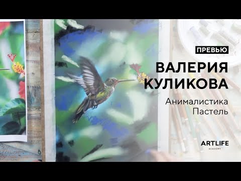 Видео: Анималистика пастелью: колибри. Валерия Куликова