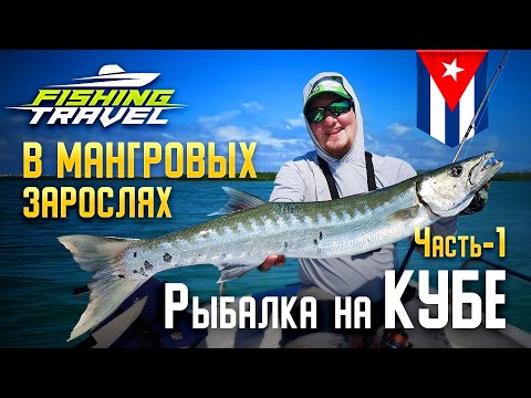Видео: Рыбалка в мангровых зарослях! Как и кого можно поймать на Кубе? Часть 1 /Fishing Travel/Артем Мишин/