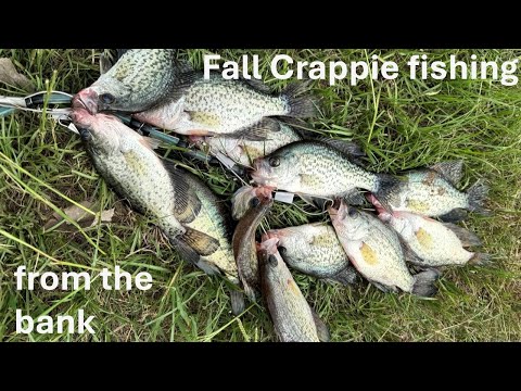 Видео: Падение краппи из банка