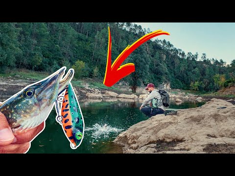 Видео: Щука была на высоте… Но неожиданный улов затмил всех