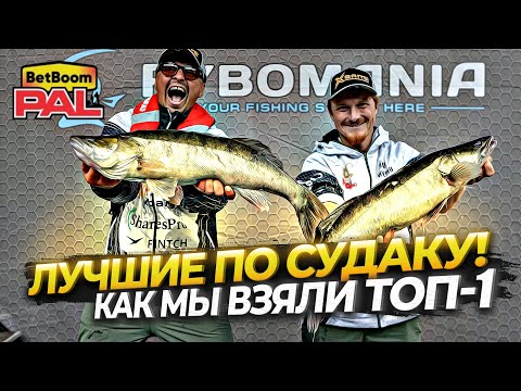 Видео: Как мы взяли топ-1 в день судака! BetBoom PAL2025 | Пермь, 1 ЭТАП, 2 ТУР