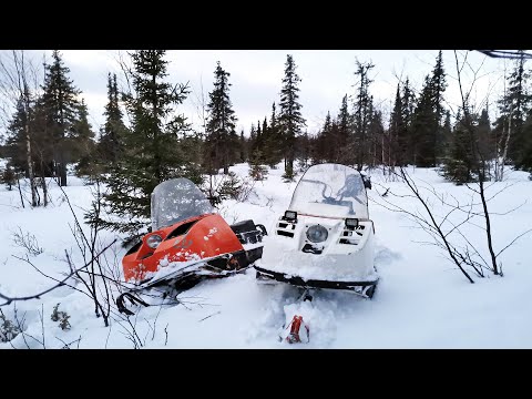 Видео: Снегоход Буран.Гони или застрянь.Вижас 2020.Snowmobile Buran