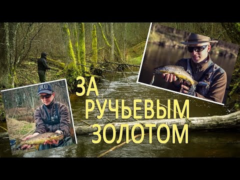 Видео: Ловля ручьевой форели. Реки Литвы часть 1.