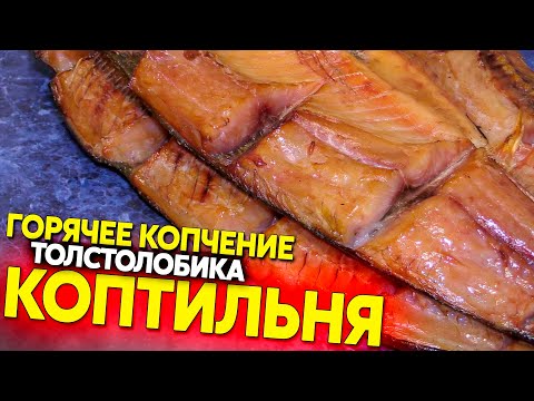 Видео: Копченый толстолобик, домашнее полугорячее копчение (60-80 градусов)