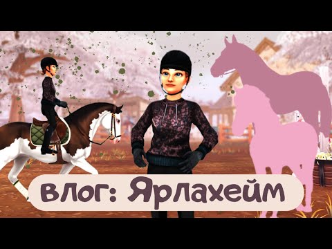 Видео: блог: причины отсутствия и новые лошади