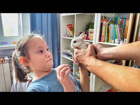 Видео: У нас гости / Где я училась / Ностальгии нет / Лимонное дерево / Влог