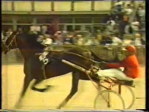 Видео: СОРЕНТО