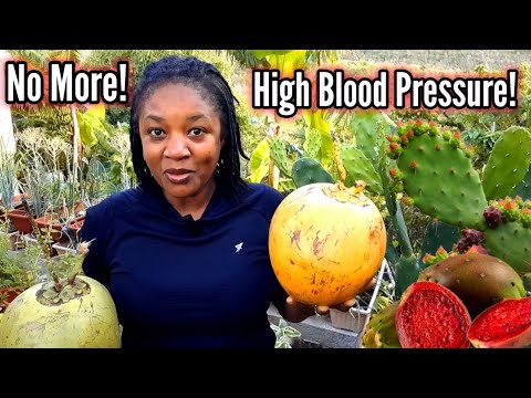 Видео: Всего два ингредиента для снижения высокого артериального давления