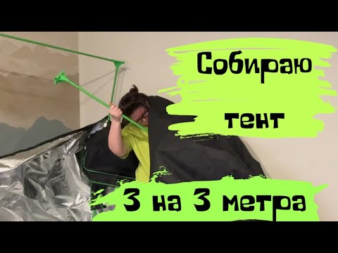 Видео: Тайная комната для антуриумов