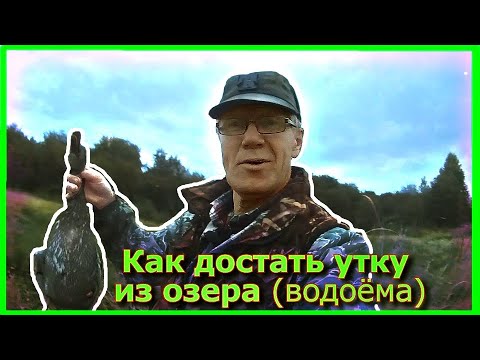 Видео: Как достать утку из озера (Водоёма)