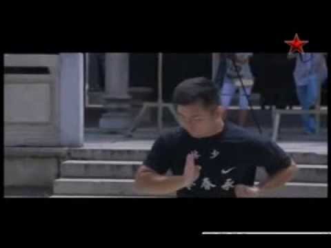 Видео: Фошаньский Вин Чун Foshan Wing Chun