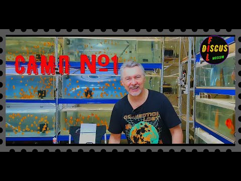 Видео: Аквариум, Как я это делаю! САМП - Часть №1