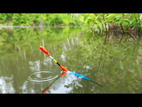 Видео: НЕЗАБЫВАЕМАЯ ВЕЧЕРНЯЯ РЫБАЛКА НА ПОПЛАВОЧНУЮ УДОЧКУ