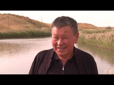Видео: Аграрлы Қазақстан: Бәйдібек ауданы