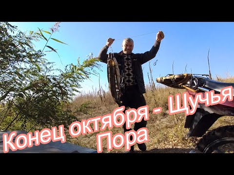 Видео: Ловля Щуки в Октябре.