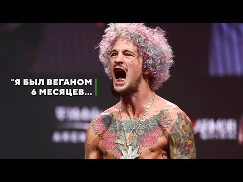 Видео: Чудные Правила Жизни Шона О'Мэлли