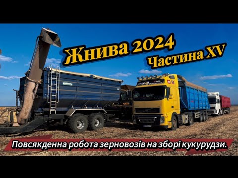 Видео: Жнива кукурудзи 2024 на Хмельниччині - Сезон у розпалі, роботи ще багато!"МХП"Рідний-Край"