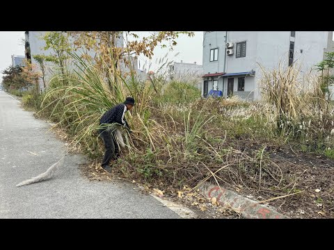 Видео: Люди забыли, что здесь есть тротуар, но потом были удивлены