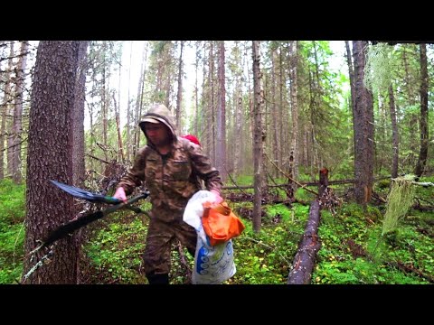 Видео: В ТАЁЖНУЮ ГЛУШЬ. СОБРАТЬСЯ с МЫСЛЯМИ и ОТДОХНУТЬ ДУШОЙ. Часть первая.