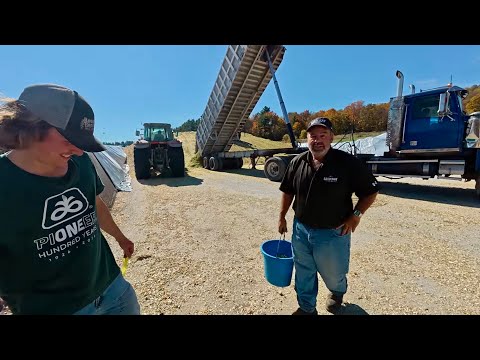 Видео: Сбор урожая на опытном участке Pioneer & Seedway.