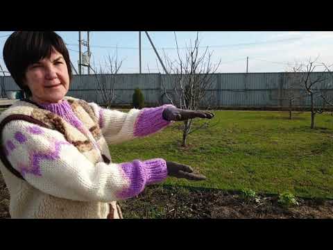 Видео: Деньги под ногами. Бесплатное удобрение. Где мы берём тонны мульчи?