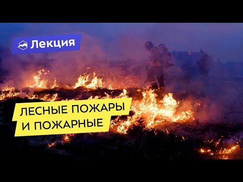 Видео: Лесные пожары и пожарные