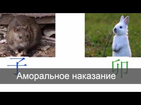 Видео: Наказание 2. Кролика и Крысы