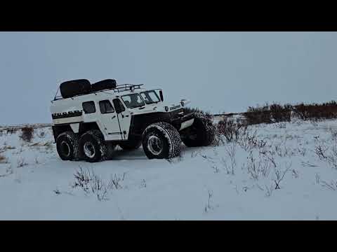 Видео: Едут снегоболотоходы Хищник на рыбалку.