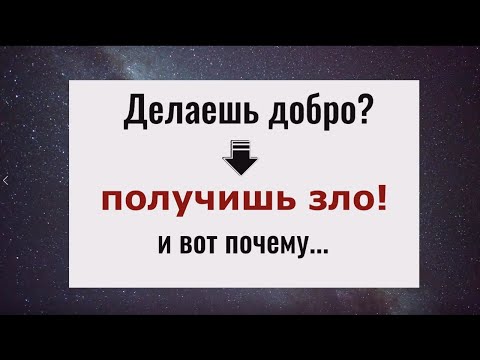 Видео: Такой наглости вы ещё не видели. Почему делая добро - получаешь зло